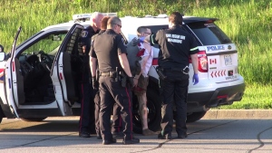 York Regional Police take a man into custody in Aurora after a break-in, carjacking and pursuit Wednesday, June 12, 2013. (Tom Stefanac/CP24) 