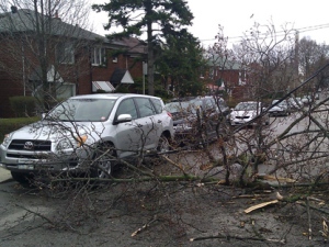 This photo shows power lines and tree branches that were topped by high winds on Billing Avenue on Thursday, April 28, 2011. (Photo courtesy of Bjorn Pettersson)