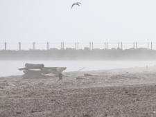 Fog heads east across Ontario Beach Park along Lake Ontario in Rochester, N.Y., Thursday, April 7, 2011. (AP Photo/Democrat & Chronicle, Tina Yee) 