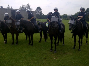 Members of the Toronto police mounted unit gather during the search for 14-year-old Stephen Liu on Wednesday, Sept. 21, 2011. (CP24/George Lagogianes)