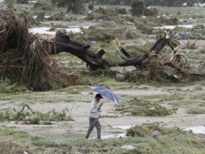 A person walks past an uprooted tree that lies on the river bed of the swollen Shonai River at Kasugai, Japan on Wednesday Sept. 21, 2011, as powerful Typhoon Roke lashes across central Japan with heavy rains and sustained winds of up to 162 kilometres per hour. (AP Photo/Kyodo News)