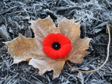 Jennine Collier took this photograph of a fallen maple leaf and a poppy as a symbol of Remembrance Day and the sacrifice her family made in Afghanistan.
