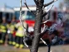 A dry Christmas tree smokes after being burned by the Menlo Park Fire Protection District in Menlo Park, Calif., Thursday, Dec. 17, 2009, during a holiday fire safety demonstration. (AP Photo/Paul Sakuma) 