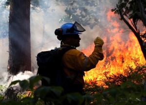 Thousand Islands fire 