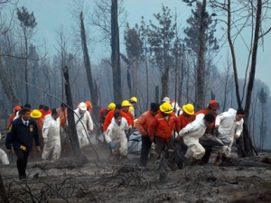 Firefighters and investigative police officers carry the bodies of firefighters who died battling wildfires in a mountain near Carahue, southern Chile, Thursday Jan. 5, 2012. Shifting winds caused flames to sweep over a group of Chilean firefighters Thursday, killing six of them, badly burning two and leaving another missing. Nearly 50 wildfires have sprung up in southern Chile, destroying hundreds of houses, forcing the evacuations of thousands of people and causing millions of dollars in damage to the forestry and tourism industries that fuel the economy in the country's Patagonia region. (AP Photo/Hector Andrade, Agencia Uno)