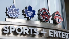 MLSE logo