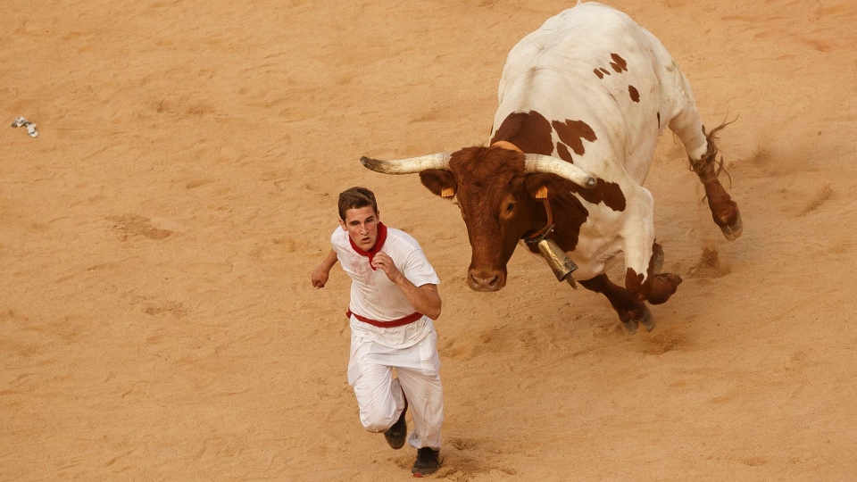 American Gored During Pamplona's Running of the Bulls