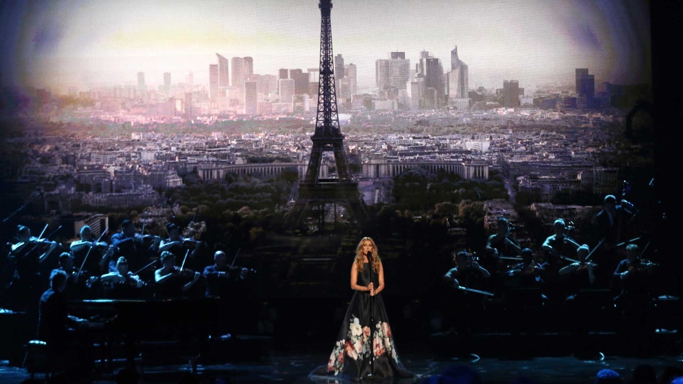 Celine Dion Delivers Touching Paris Tribute at 2015 AMAs