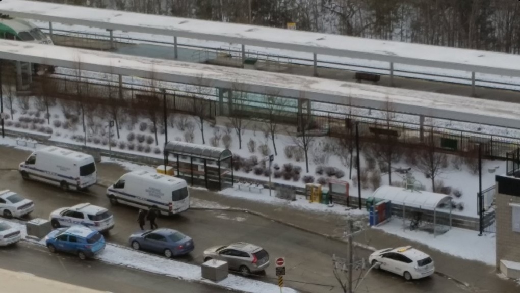 GO Transit warns of delays after man struck and killed near Port