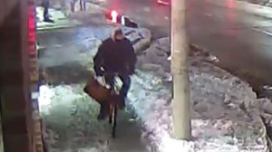 Mississauga, purse, snatcher, 