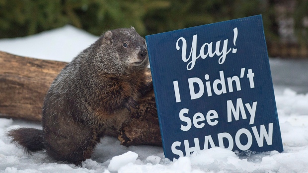 Shubenacadie Sam predicts an early spring after failing to see shadow