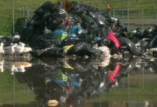 Birds fly around and feast upon the garbage piling up at Christie Pits Park in Toronto, Friday, July 3, 2009.