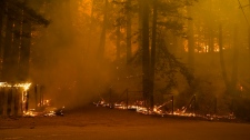 California wildfires 