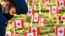 Sunnybrook flags