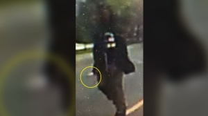 North York suspect 