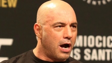 Rogan