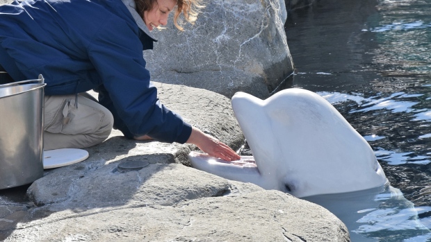  Mystic Aquarium