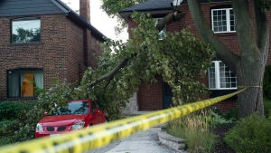 Toronto winds