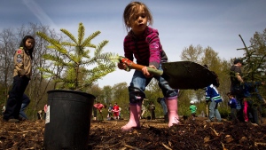 Tree planting