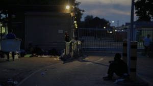 Migrants, Netherlands