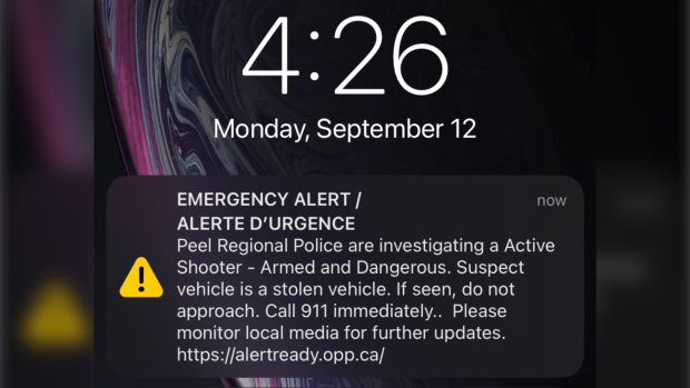 Emergency alert