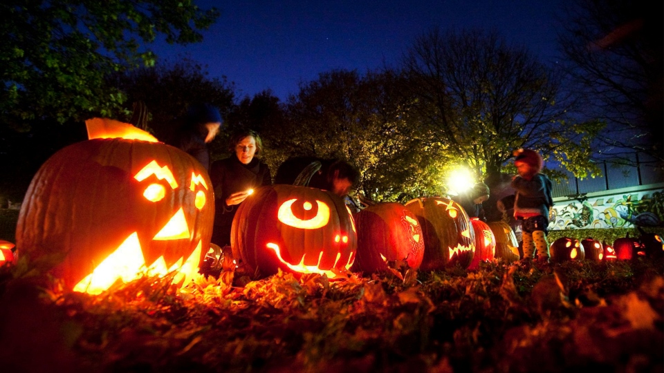 Is it going to rain on Halloween in Toronto?