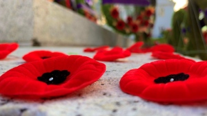 Remembrance Day