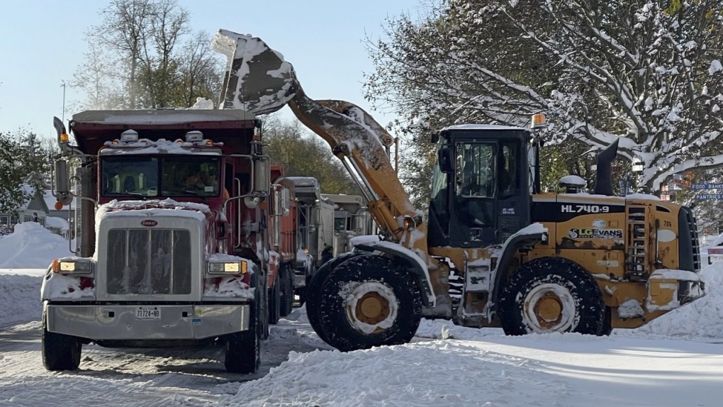 Slumping Bills, Browns escape snow, will meet in Detroit