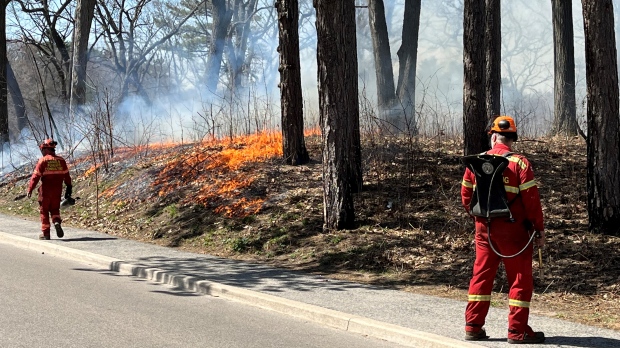 High Park Burn 2023