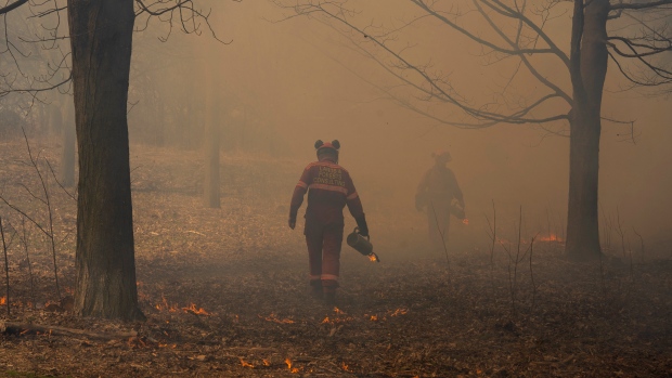 High Park burn