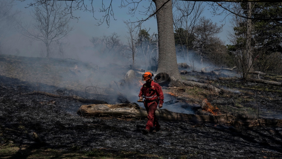 high park burn 2023