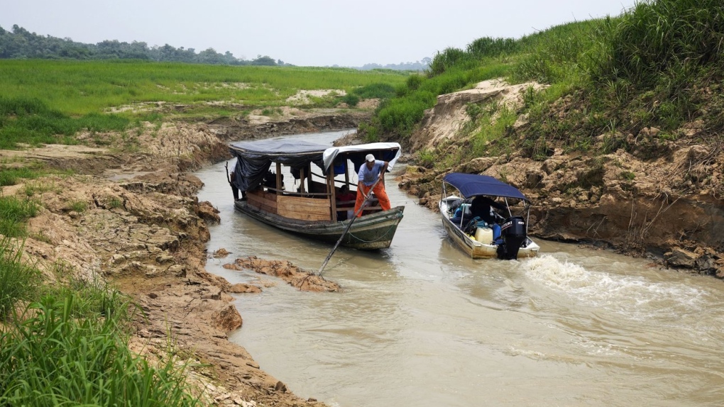 In the , Brazilian ecologists try new approach against deforestation  and poverty