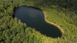 Crawford Lake