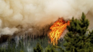 Donnie Creek wildfire