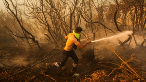 Turkey wildfire