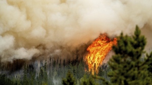 Donnie Creek wildfire