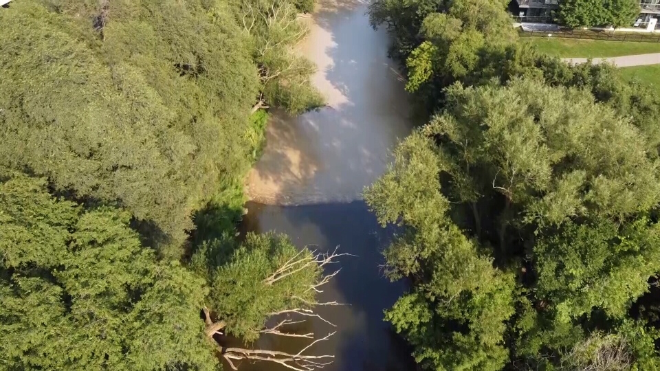 Mimico Creek