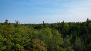 Duffins Rouge Agricultural Preserve