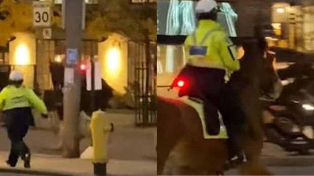 视频显示多伦多警察在万圣节晚上追逐失控的警马