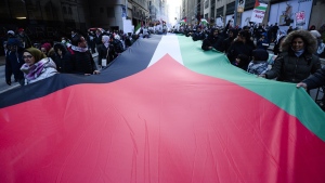 Toronto pro-Palestinian demonstration Nov. 12