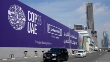 COP28