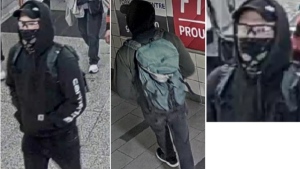 tps ttc mischief suspect