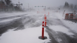 Wind blows snow across SW Pacific Highway on Saturday, Jan. 13, 2024, in Portland, Ore. (AP Photo/Jenny Kane)