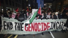 pro-Palestinian rally Toronto Jan. 14