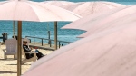 A man takes in some sun at Sugar Beach in Toronto on Wednesday, April 8, 2020. THE CANADIAN PRESS/Frank Gunn