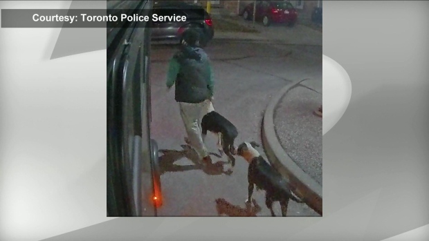 Dog attack in Toronto's west end leaves woman with life