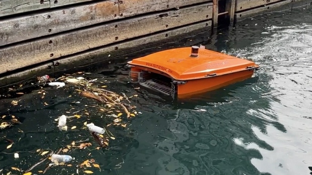 去年仅6个月时间内，多伦多港收集了近6.3万个塑料碎片