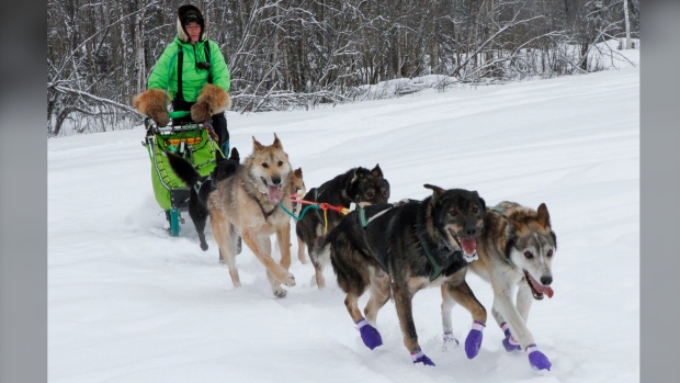 Ryan Redington, defending Iditarod Trail Sled Dog 