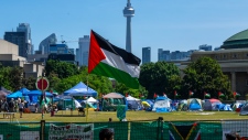 Pro-Palestinian protesters Toronto