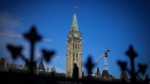 A person makes their way past the Peace Tower on Parliament Hill in Ottawa on Tuesday, Feb. 13, 2024. (Sean Kilpatrick/The Canadian Press)